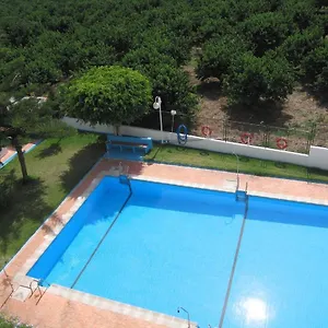 Palmeras , Almuñécar España